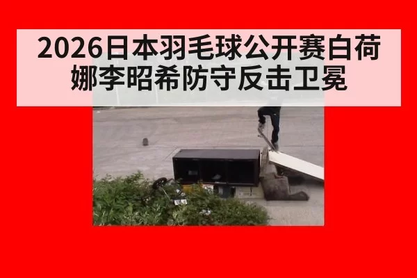 2026日本羽毛球公开赛白荷娜李昭希防守反击卫冕