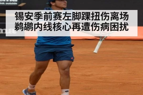 锡安季前赛左脚踝扭伤离场 鹈鹕内线核心再遭伤病困扰